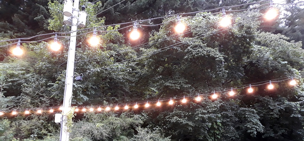 20200726_185453 - 복사본.jpg