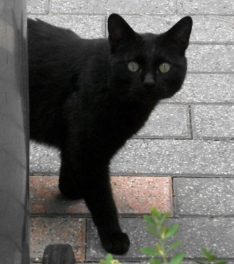 DSCF6642.JPG