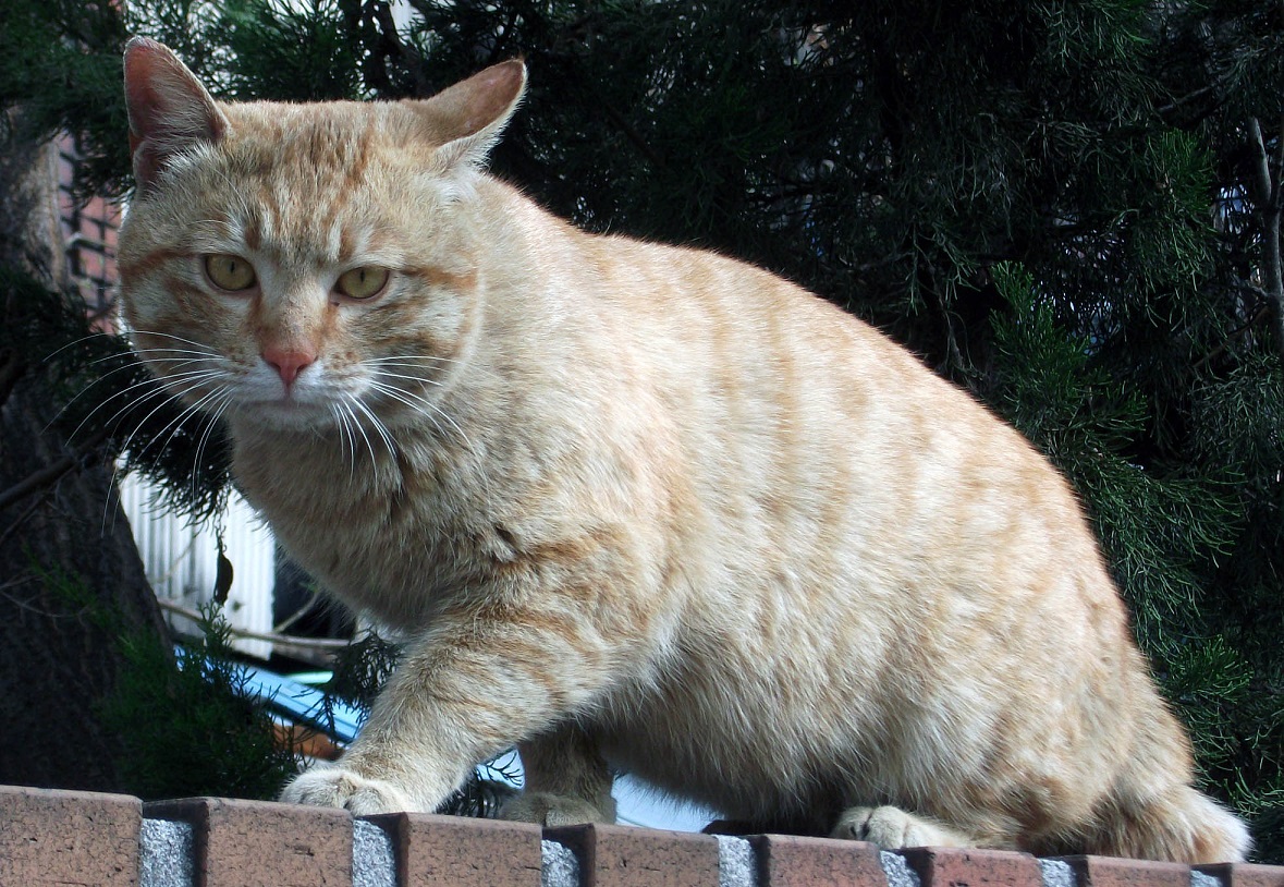 DSCF6647.JPG