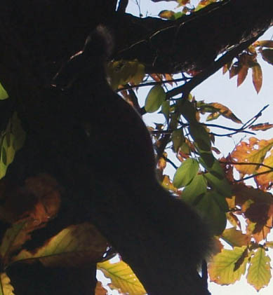DSCF3040.JPG