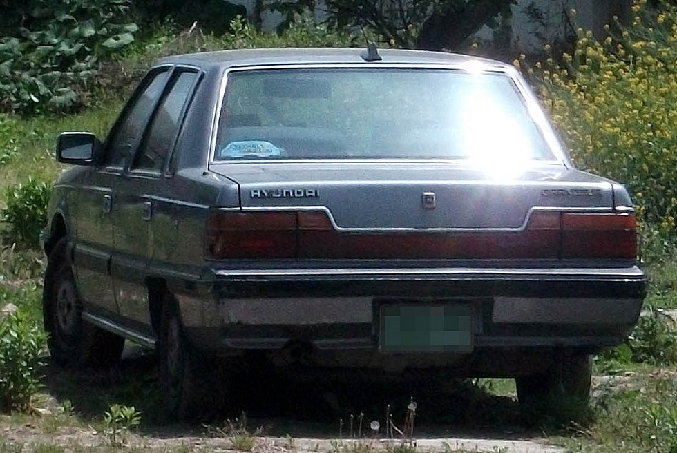 DSCF9907.JPG