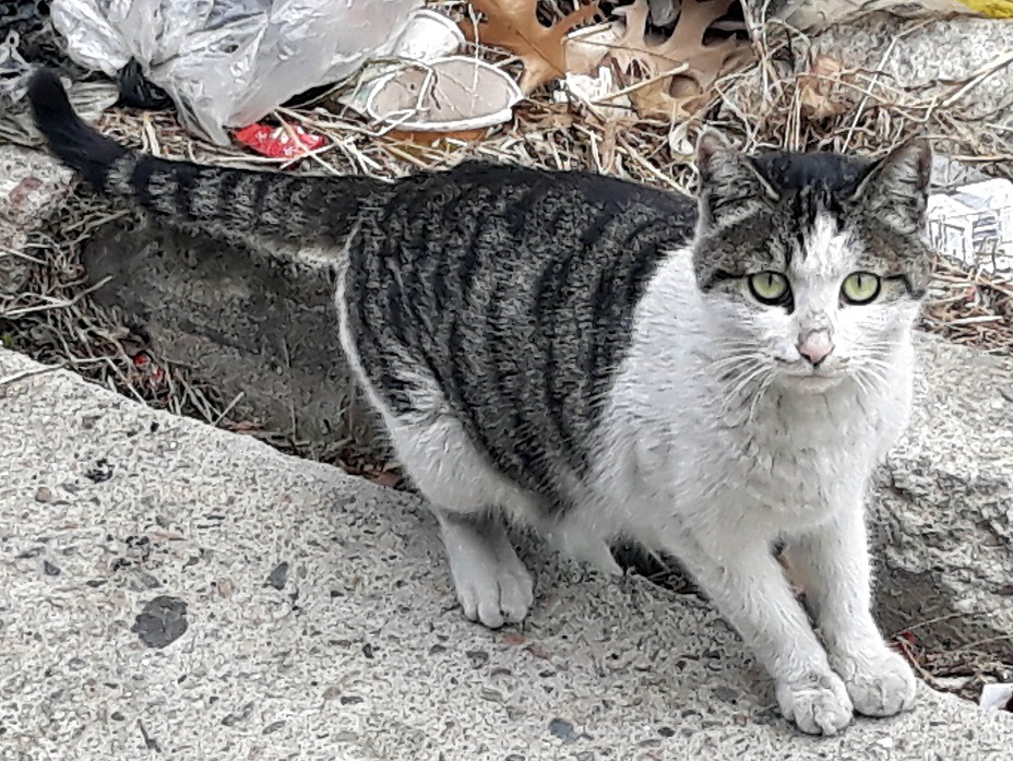 20190420_132042.jpg