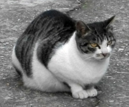 DSCF5689.JPG