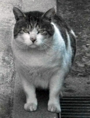 DSCF5691.JPG