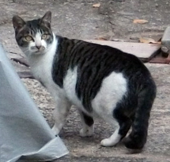 DSCF5688.JPG