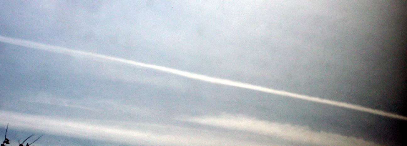 DSCF0710.JPG