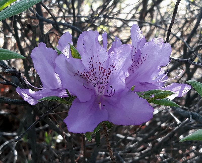 20190419_162509.jpg