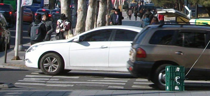 DSCF7228.JPG