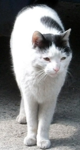 DSCF8871.JPG