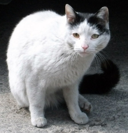 DSCF8870.JPG