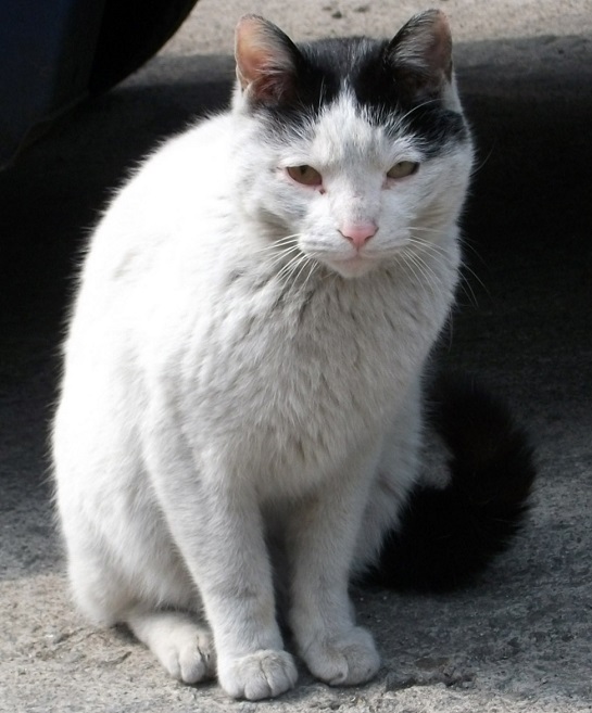 DSCF8869.JPG
