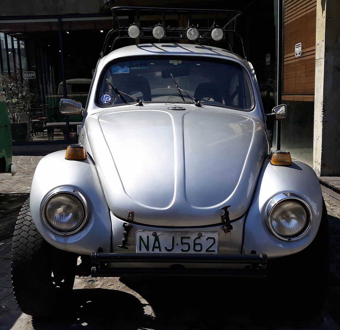 20190324_125026.jpg