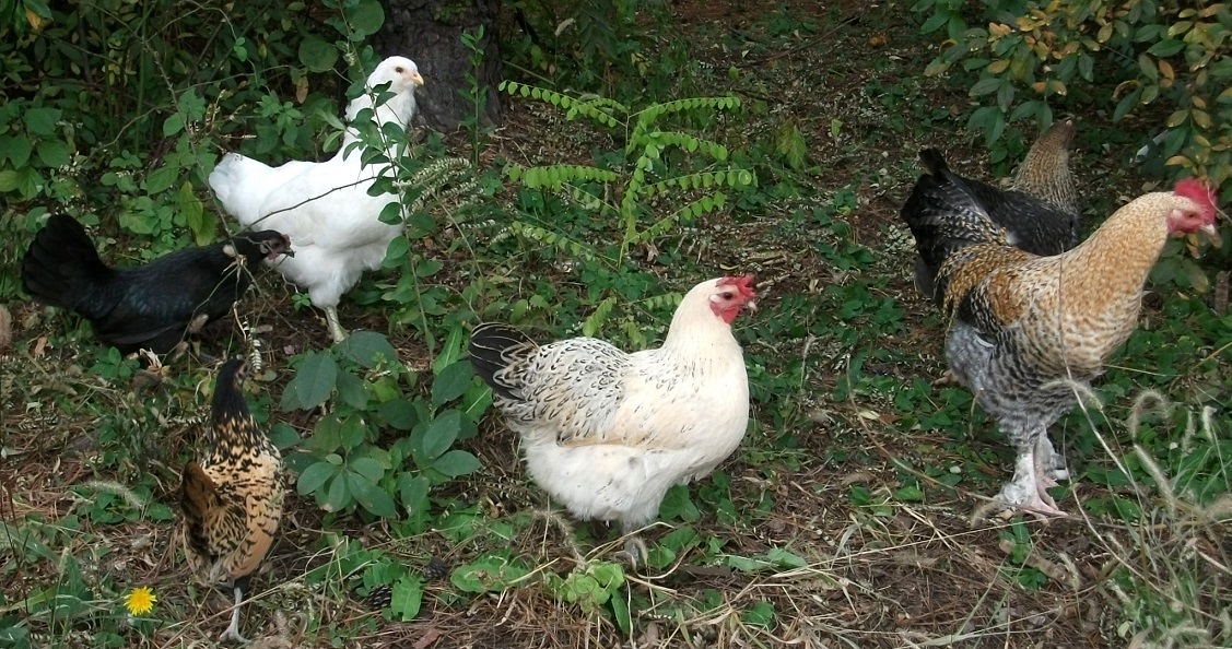 DSCF6402.JPG