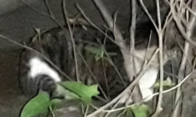 20180508_220218.jpg