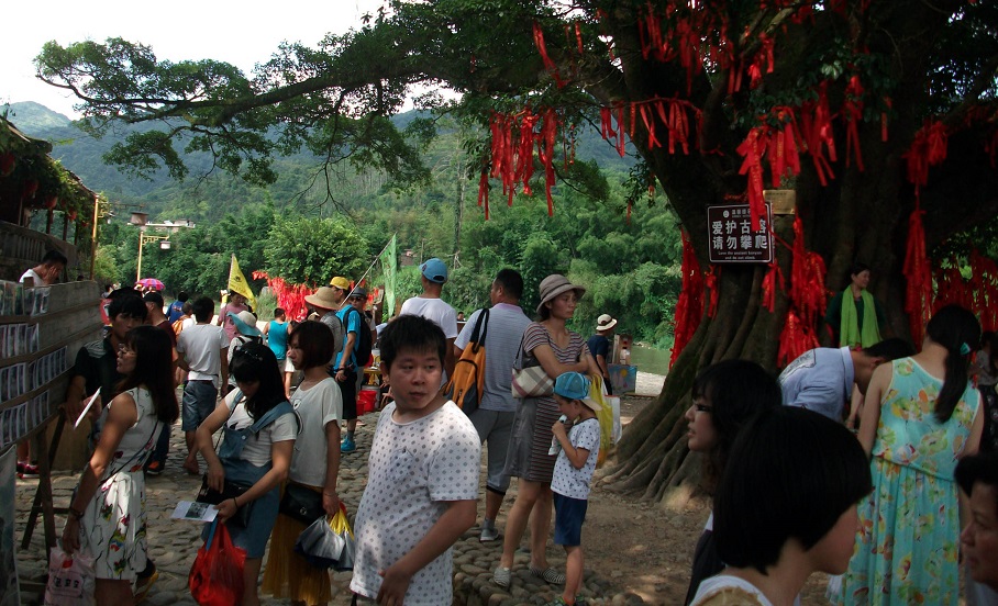 DSCF8171.JPG