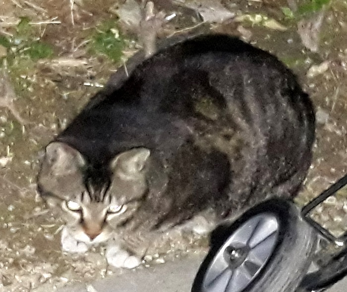20180508_220343.jpg