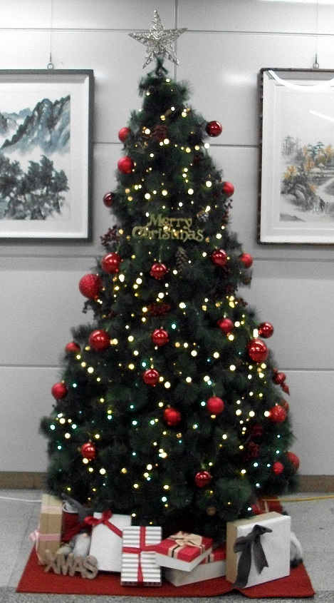 DSCF2637.JPG
