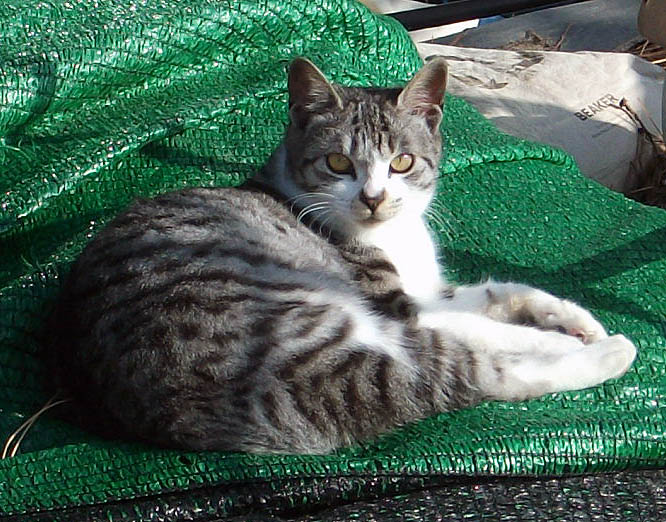 DSCF1729.JPG
