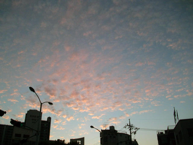 DSCF1246.JPG