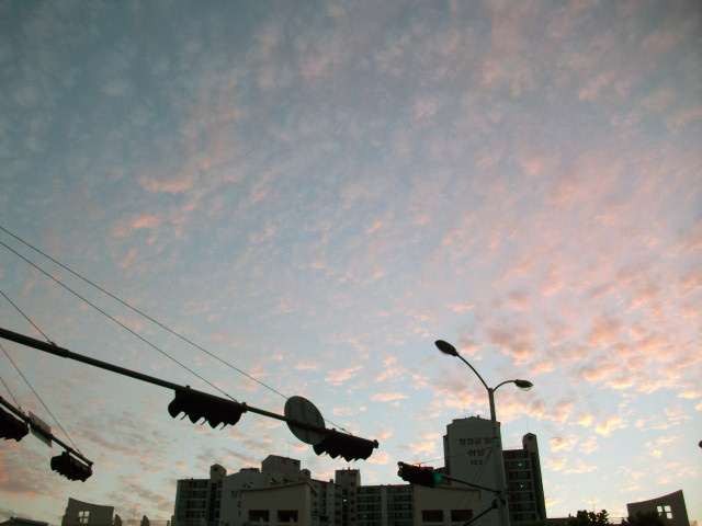 DSCF1244.JPG