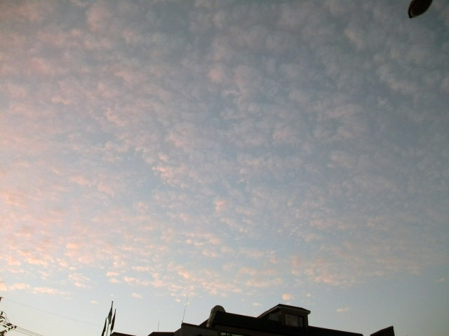DSCF1245.JPG