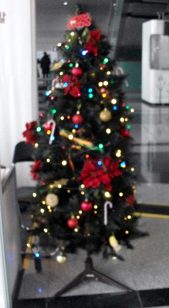 DSCF2639.JPG