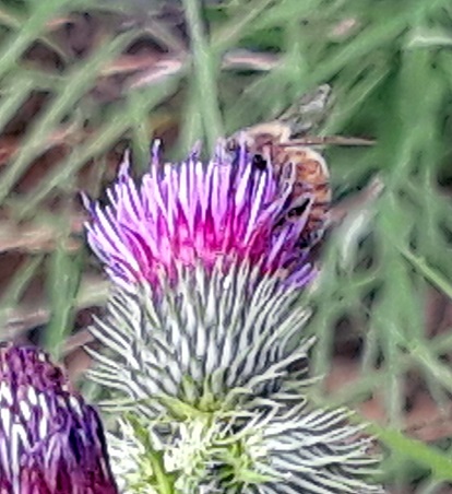 20180529_160126.jpg