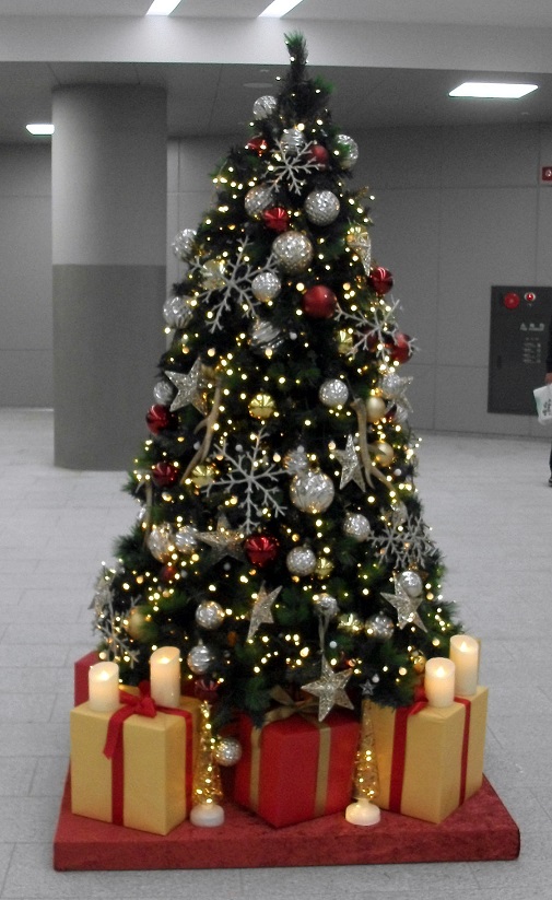 DSCF6878.JPG