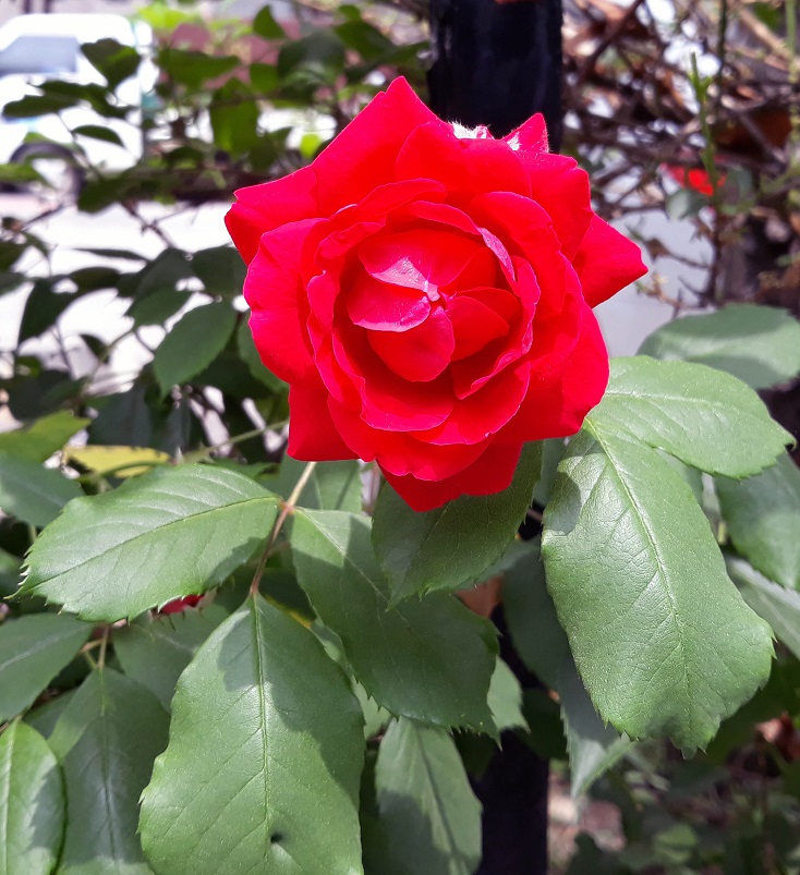 20190515_121713.jpg