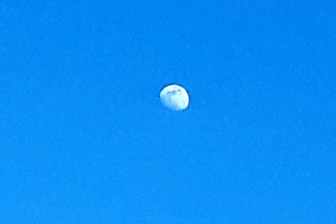 20190515_184420.jpg
