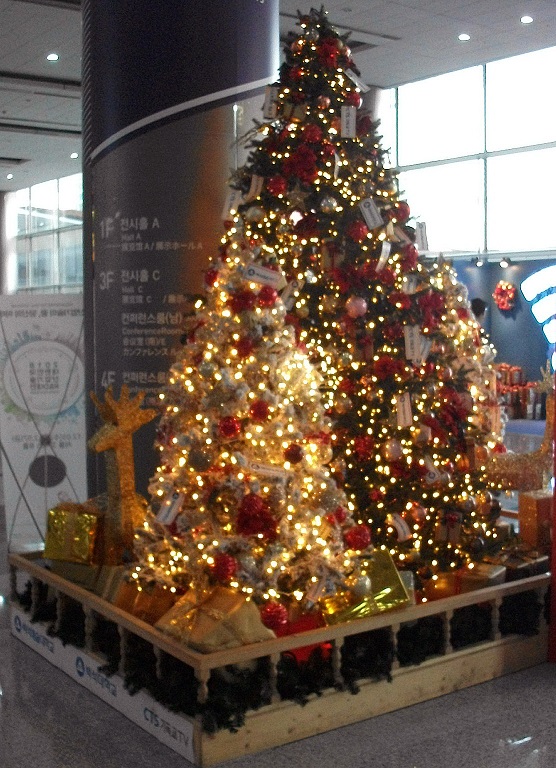 DSCF2645.JPG