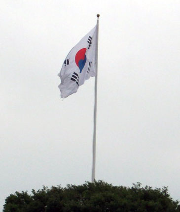 DSCF9667.JPG