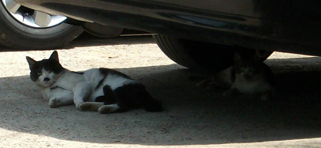 DSCF9955.JPG