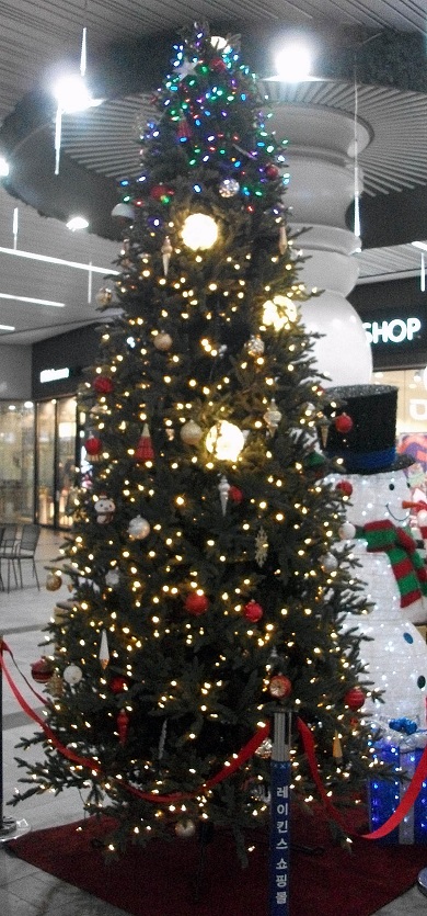 DSCF1454.JPG