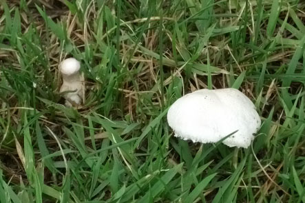 DSCF9677.JPG