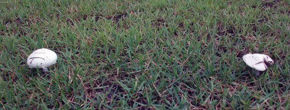 DSCF9657.JPG