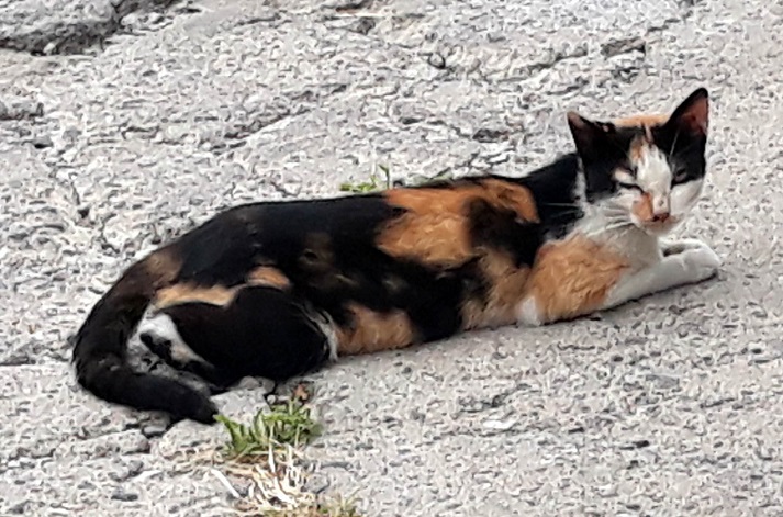 20180914_170447.jpg