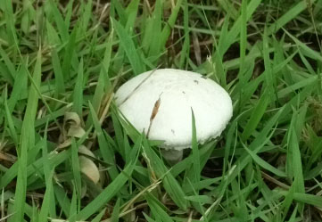 DSCF9678.JPG