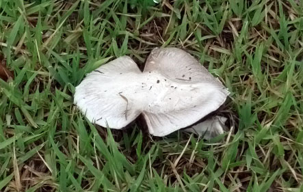 DSCF9676.JPG
