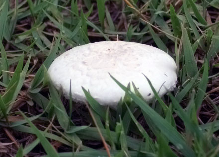DSCF9662.JPG