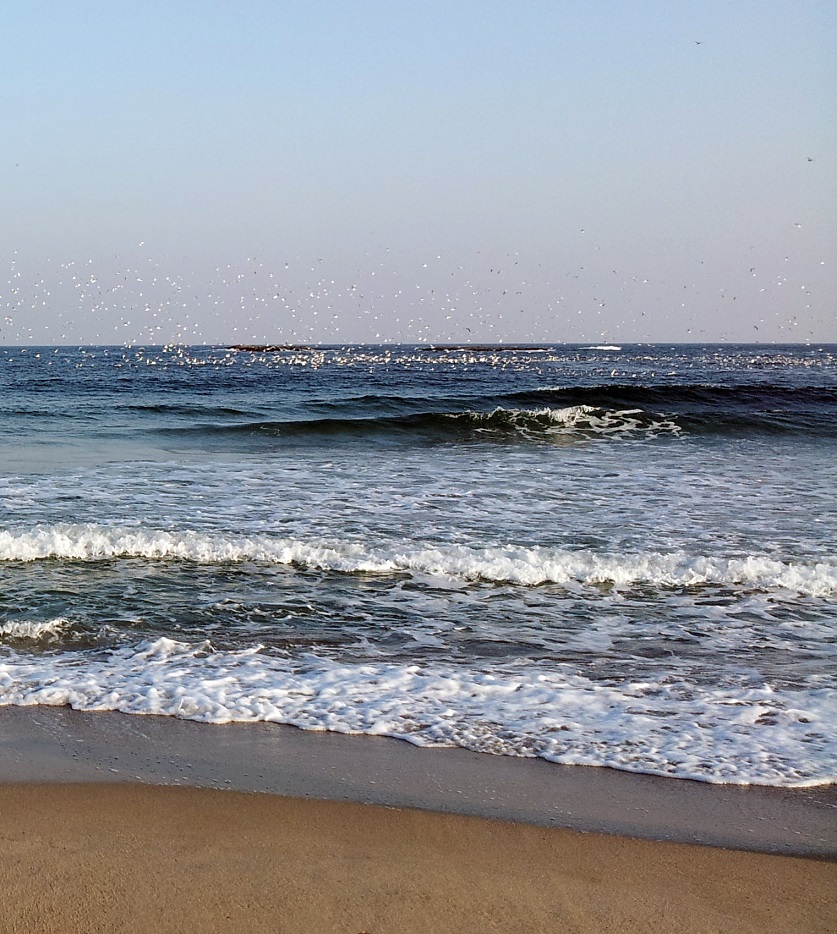 20140106_160312.jpg