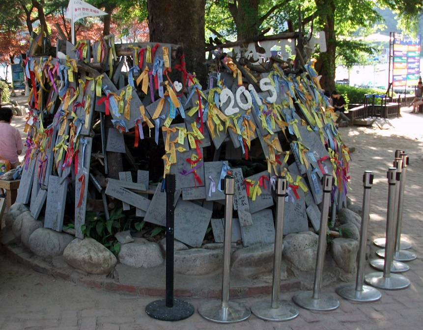 DSCF3949.JPG