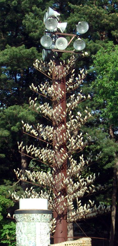 DSCF3951.JPG