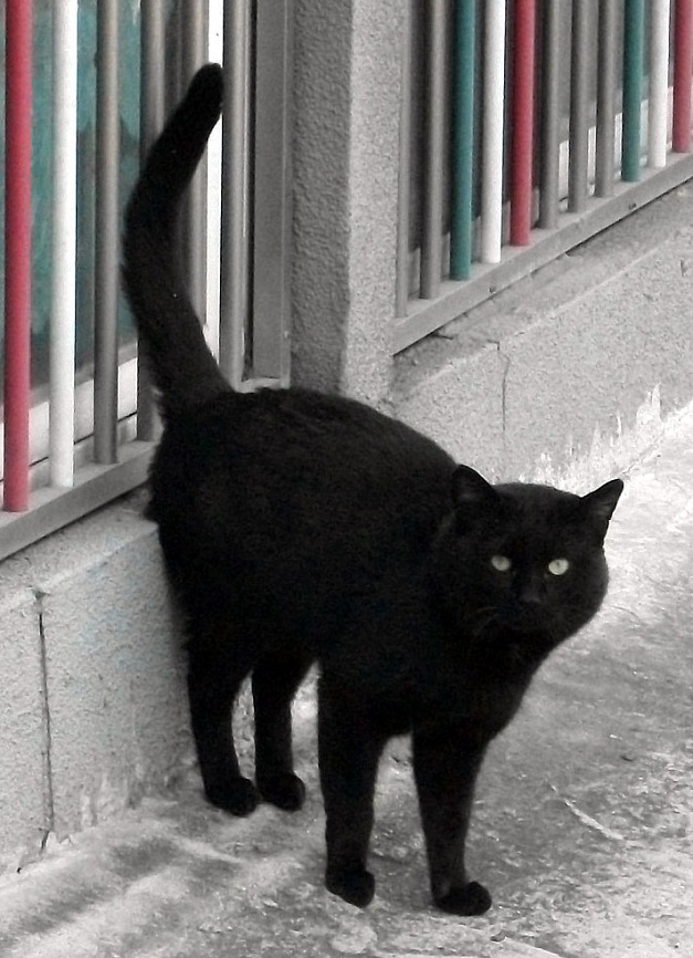 DSCF8968.JPG