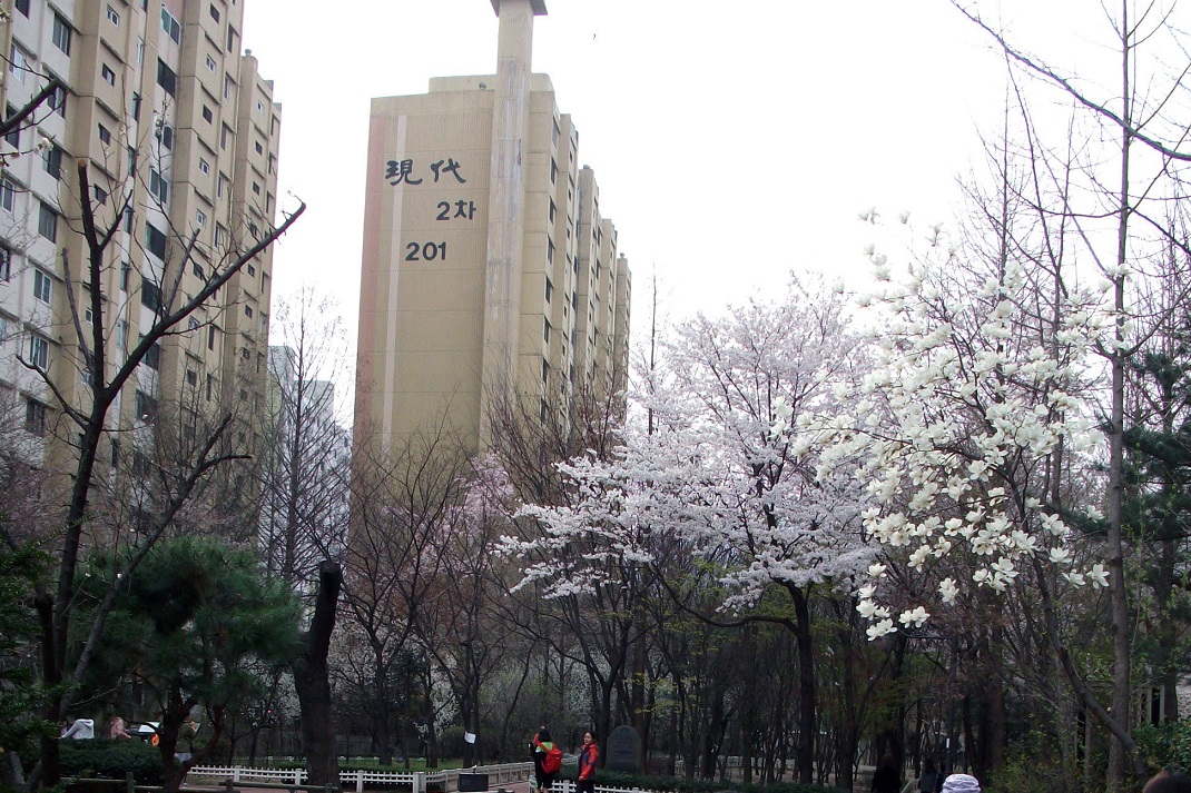 DSCF0127.JPG