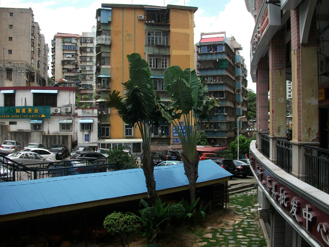 DSCF7758.JPG