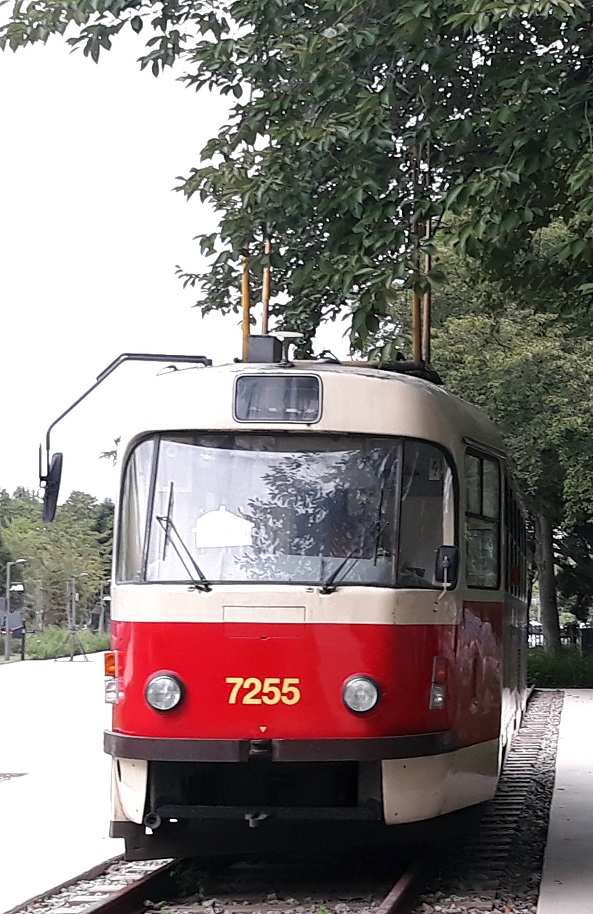 20180914_173519.jpg