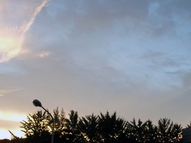DSCF0342.JPG