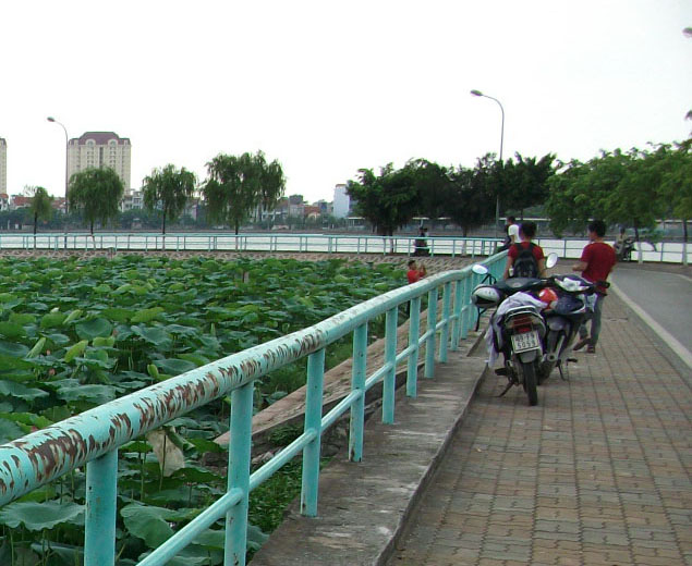 DSCF8961.JPG