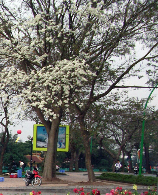 DSCF2726.JPG